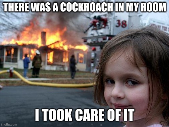 Disaster Girl Meme | THERE WAS A COCKROACH IN MY ROOM; I TOOK CARE OF IT | image tagged in memes,disaster girl | made w/ Imgflip meme maker