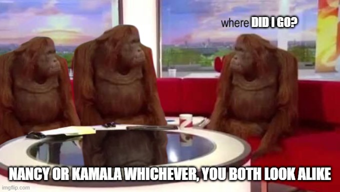 Where did I go? | DID I GO? NANCY OR KAMALA WHICHEVER, YOU BOTH LOOK ALIKE | image tagged in where banana | made w/ Imgflip meme maker