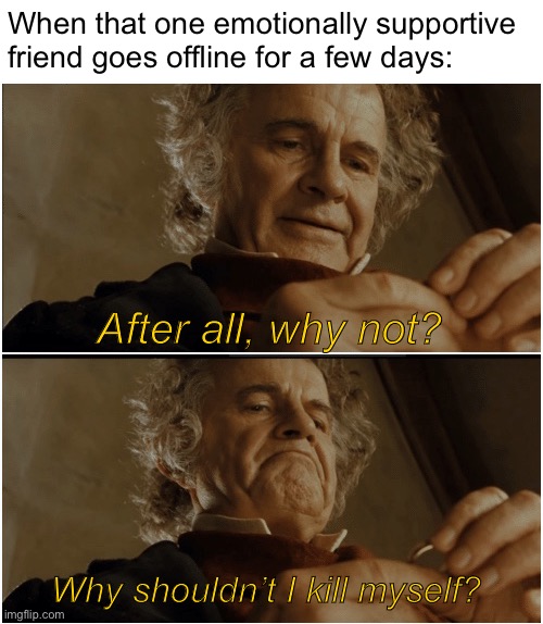 Please answer... Please... | When that one emotionally supportive friend goes offline for a few days:; After all, why not? Why shouldn’t I kill myself? | image tagged in bilbo - why shouldn t i keep it,why not,memes,friends,depression,funny memes | made w/ Imgflip meme maker