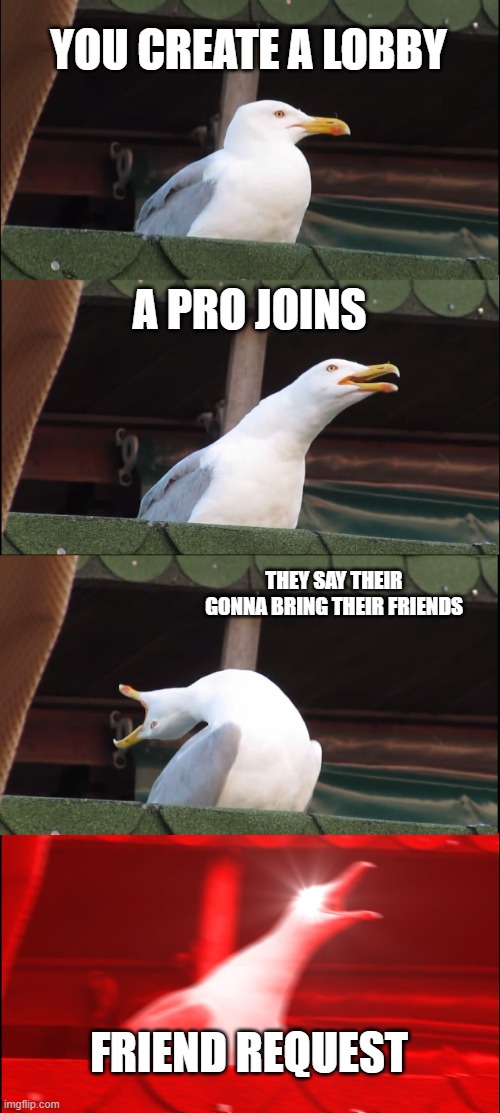 Inhaling Seagull |  YOU CREATE A LOBBY; A PRO JOINS; THEY SAY THEIR GONNA BRING THEIR FRIENDS; FRIEND REQUEST | image tagged in memes,inhaling seagull | made w/ Imgflip meme maker