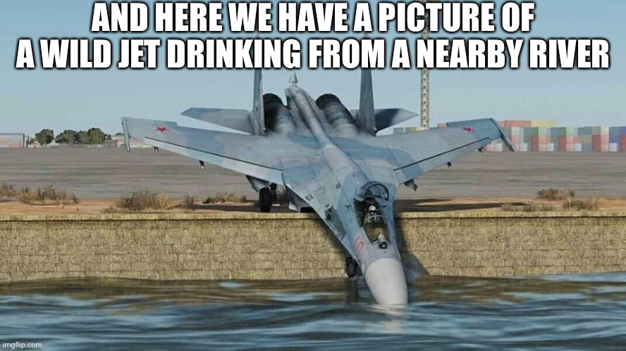 Documentaries Be Like |  AND HERE WE HAVE A PICTURE OF A WILD JET DRINKING FROM A NEARBY RIVER | image tagged in documentary,funny,funny memes,fun,water,drinking | made w/ Imgflip meme maker