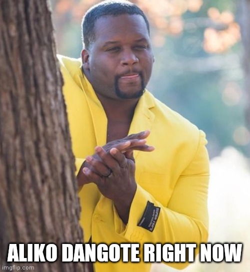 Rubbing hands | ALIKO DANGOTE RIGHT NOW | image tagged in rubbing hands | made w/ Imgflip meme maker