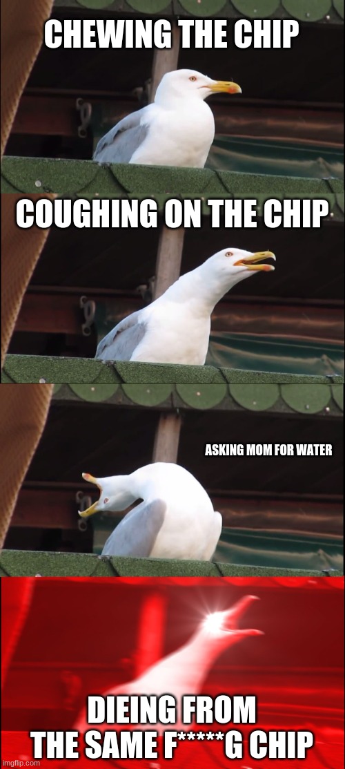 Inhaling Seagull | CHEWING THE CHIP; COUGHING ON THE CHIP; ASKING MOM FOR WATER; DIEING FROM THE SAME F*****G CHIP | image tagged in memes,inhaling seagull | made w/ Imgflip meme maker