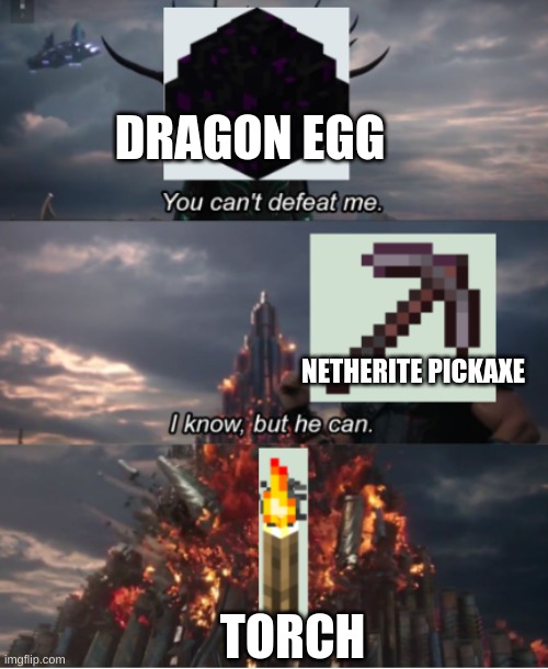 Dragon egg | DRAGON EGG; NETHERITE PICKAXE; TORCH | image tagged in so true memes,minecraft,ender dragon | made w/ Imgflip meme maker