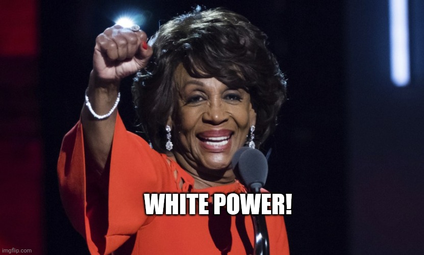 Maxine Waters | WHITE POWER! | image tagged in maxine waters | made w/ Imgflip meme maker