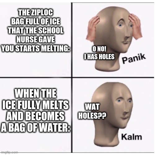 stonk mem | THE ZIPLOC BAG FULL OF ICE THAT THE SCHOOL NURSE GAVE YOU STARTS MELTING:; O NO! I HAS HOLES; WHEN THE ICE FULLY MELTS AND BECOMES A BAG OF WATER:; WAT HOLES?? | image tagged in stonks,school memes | made w/ Imgflip meme maker