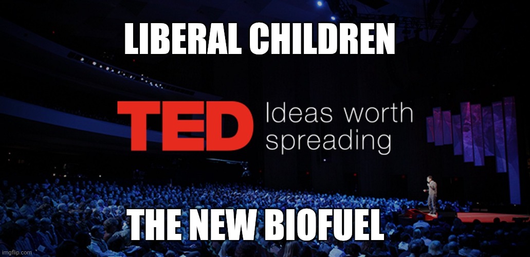 Politics and stuff | LIBERAL CHILDREN; THE NEW BIOFUEL | image tagged in ted talks | made w/ Imgflip meme maker