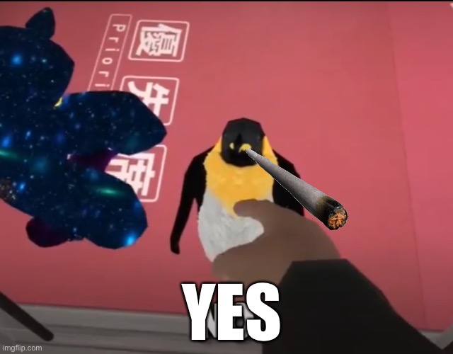 no penguin | YES | image tagged in no penguin | made w/ Imgflip meme maker