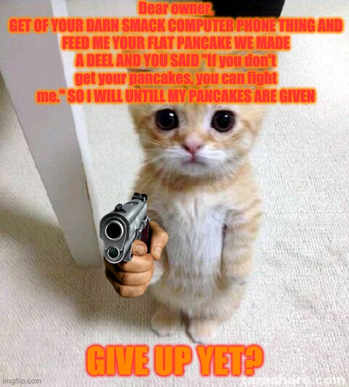 Cute Cat Meme | Dear owner,
GET OF YOUR DARN SMACK COMPUTER PHONE THING AND FEED ME YOUR FLAT PANCAKE WE MADE A DEEL AND YOU SAID "If you don't get your pancakes, you can fight me." SO I WILL UNTILL MY PANCAKES ARE GIVEN; GIVE UP YET? | image tagged in memes,cute cat | made w/ Imgflip meme maker