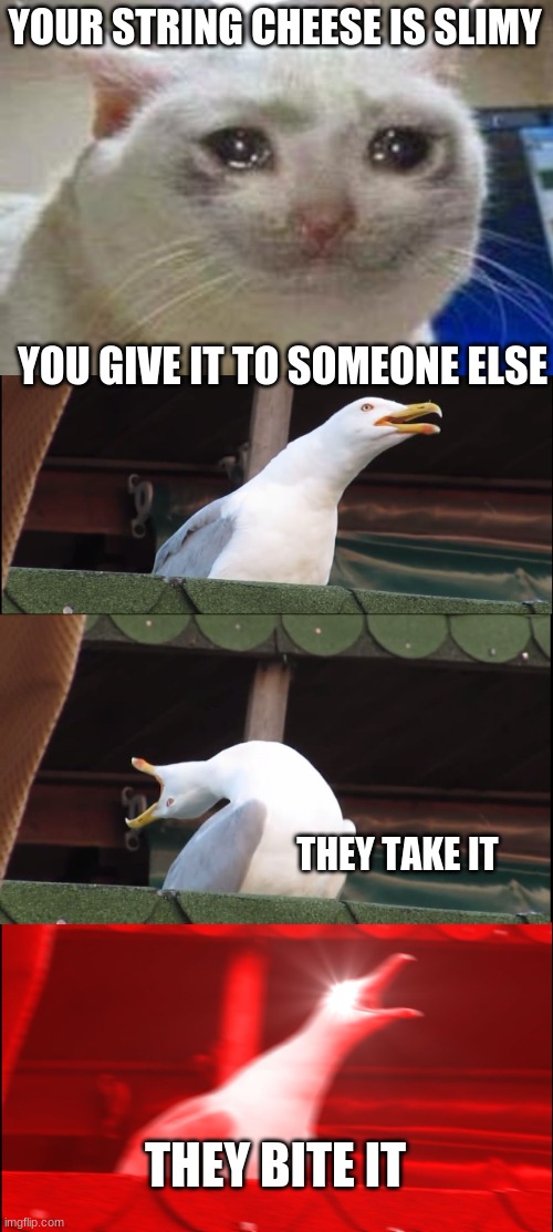 is this relatable?? | YOUR STRING CHEESE IS SLIMY; YOU GIVE IT TO SOMEONE ELSE; THEY TAKE IT; THEY BITE IT | image tagged in memes,inhaling seagull,sad cat | made w/ Imgflip meme maker