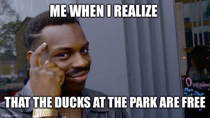 Roll Safe Think About It | ME WHEN I REALIZE; THAT THE DUCKS AT THE PARK ARE FREE | image tagged in memes,roll safe think about it | made w/ Imgflip meme maker