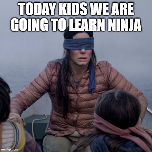 Bird Box |  TODAY KIDS WE ARE GOING TO LEARN NINJA | image tagged in memes,bird box | made w/ Imgflip meme maker