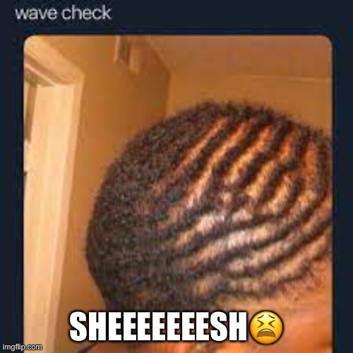 Sheeeeeesh | SHEEEEEEESH😫 | image tagged in wave check | made w/ Imgflip meme maker