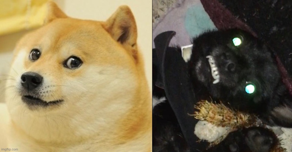 Can someone make this a meme I have no inspo | image tagged in memes,doge,0 0 | made w/ Imgflip meme maker