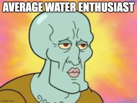 Handsome Squidward | AVERAGE WATER ENTHUSIAST | image tagged in handsome squidward | made w/ Imgflip meme maker