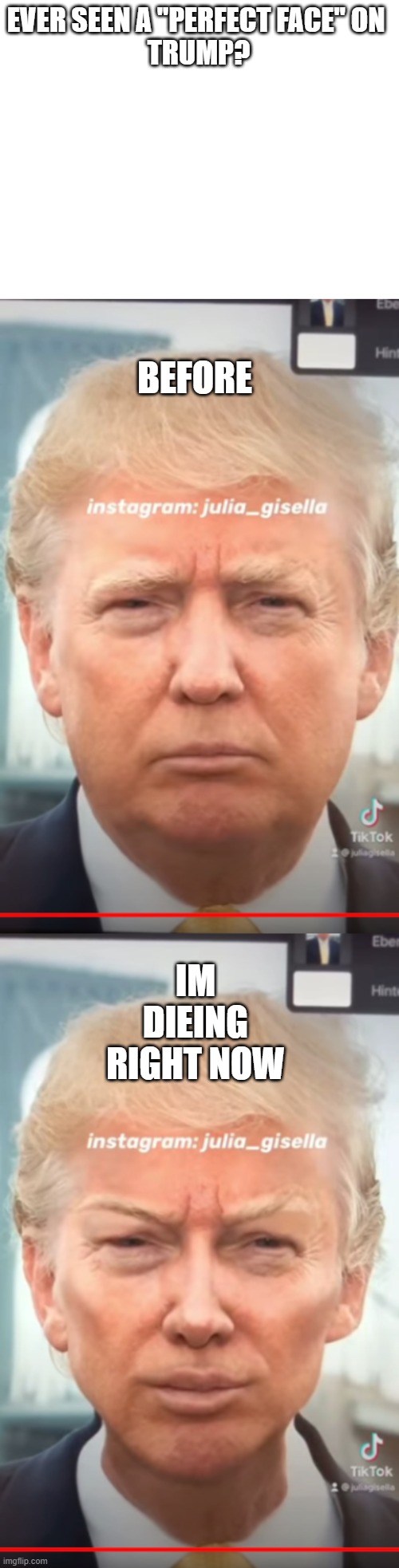 EVER SEEN A "PERFECT FACE" ON 
TRUMP? BEFORE; IM DIEING RIGHT NOW | image tagged in blank white template | made w/ Imgflip meme maker