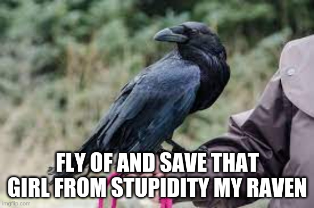 FLY OF AND SAVE THAT GIRL FROM STUPIDITY MY RAVEN | made w/ Imgflip meme maker