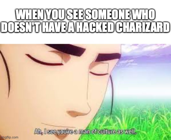 Its nice to meet a fellow shiny hunter | WHEN YOU SEE SOMEONE WHO DOESN'T HAVE A HACKED CHARIZARD | image tagged in i see you're a man of culture | made w/ Imgflip meme maker