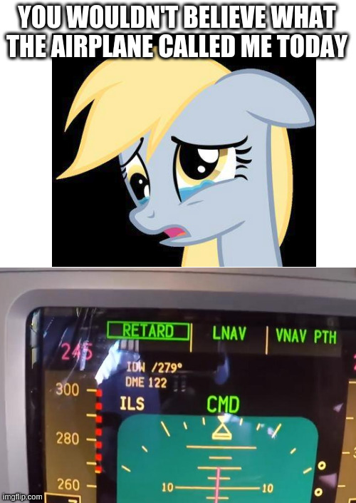 Throttles back for landing |  YOU WOULDN'T BELIEVE WHAT THE AIRPLANE CALLED ME TODAY | image tagged in mlp,derpy,airplane | made w/ Imgflip meme maker