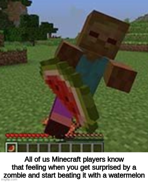 how sticky that zombie would be | All of us Minecraft players know that feeling when you get surprised by a zombie and start beating it with a watermelon | image tagged in blank white template,minecraft,zombies,watermelon | made w/ Imgflip meme maker