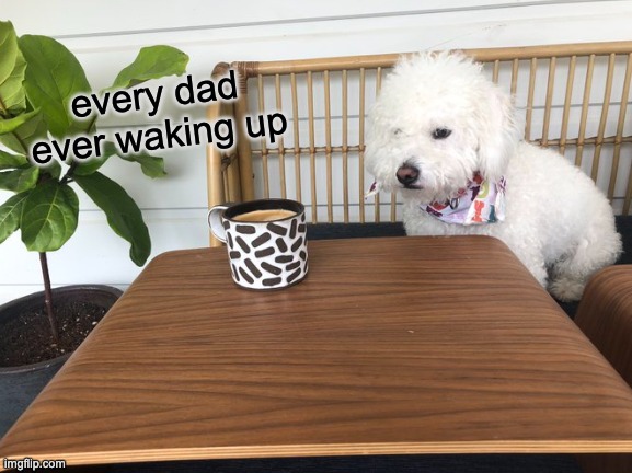 dads | every dad ever waking up | image tagged in dads | made w/ Imgflip meme maker