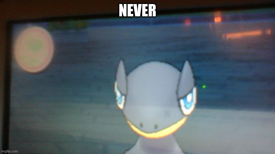 NEVER | made w/ Imgflip meme maker