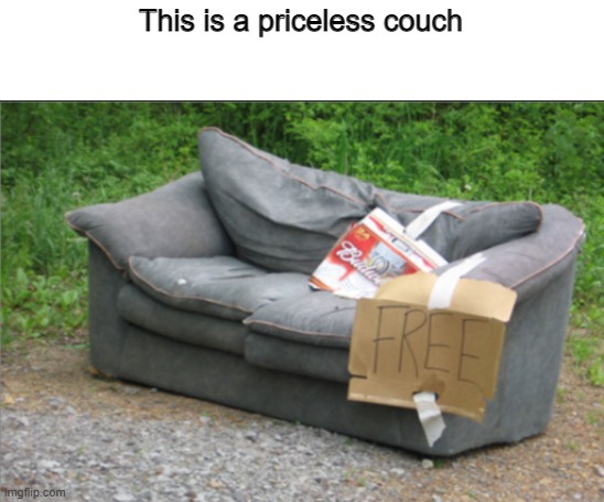 The couch is in fact priceless | This is a priceless couch | image tagged in funny,fun,couch,free | made w/ Imgflip meme maker