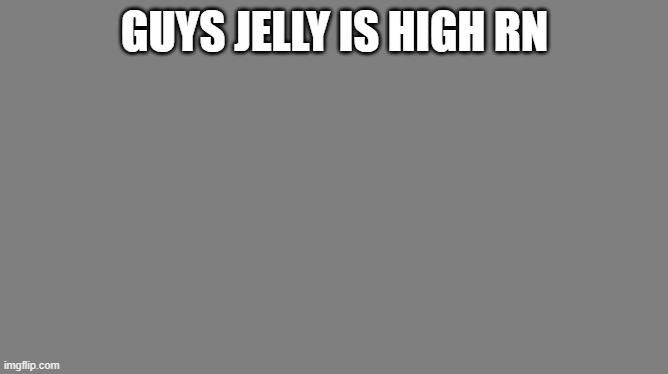 Blank grey | GUYS JELLY IS HIGH RN | image tagged in blank grey | made w/ Imgflip meme maker