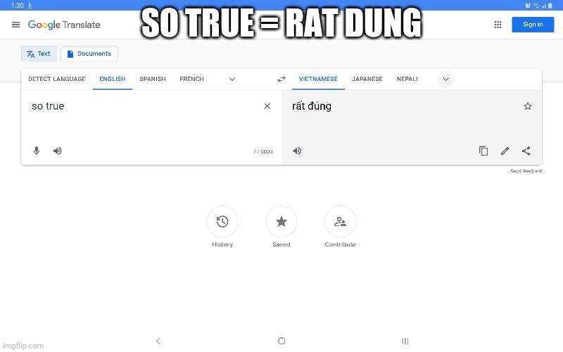 ... | SO TRUE = RAT DUNG | image tagged in google translate | made w/ Imgflip meme maker