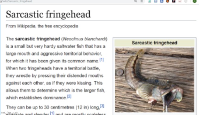 sarcastic fringehead | image tagged in sarcastic fringehead | made w/ Imgflip meme maker