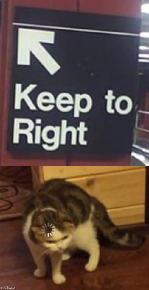 keep left ➡️ | image tagged in loading cat,you had one job,left,right,arrow,fail | made w/ Imgflip meme maker