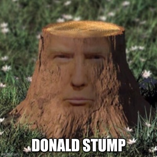 *wheeze | DONALD STUMP | image tagged in memes,trump | made w/ Imgflip meme maker