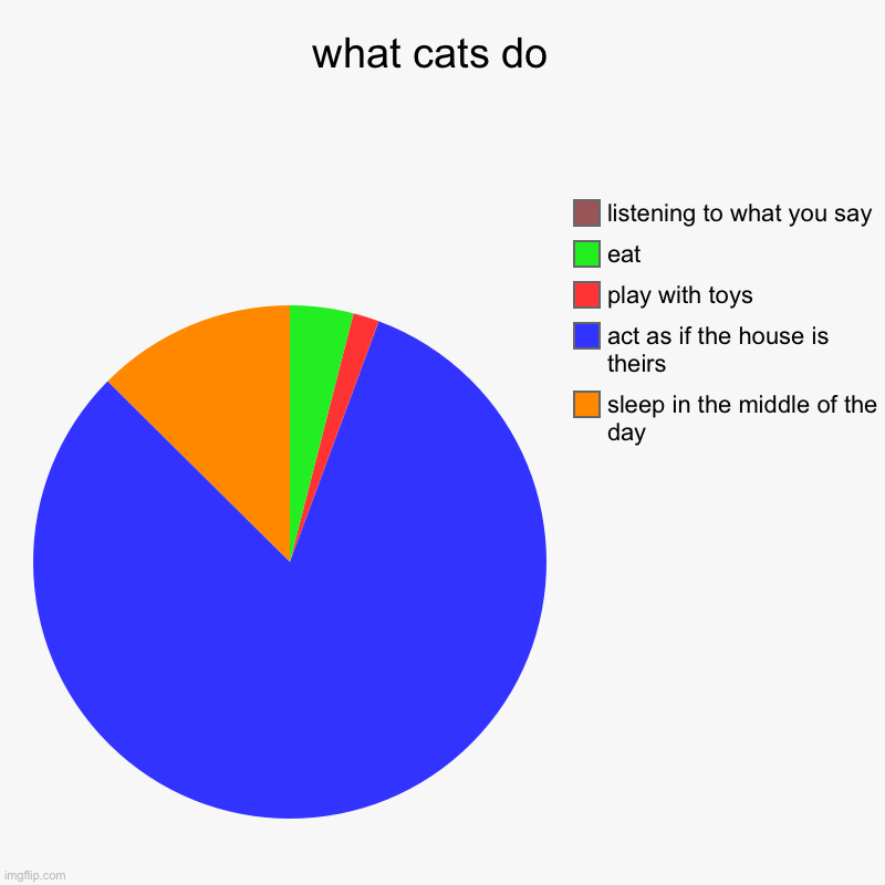 what cats do  | sleep in the middle of the day, act as if the house is theirs, play with toys, eat, listening to what you say | image tagged in charts,pie charts | made w/ Imgflip chart maker