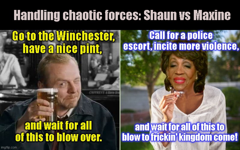 Shaun vs Maxine | Handling chaotic forces: Shaun vs Maxine; Go to the Winchester, have a nice pint, Call for a police escort, incite more violence, and wait for all of this to blow over. and wait for all of this to blow to frickin' kingdom come! | image tagged in shaun of the dead,maxine waters,inciting violence,riots,anarchy,political humor | made w/ Imgflip meme maker