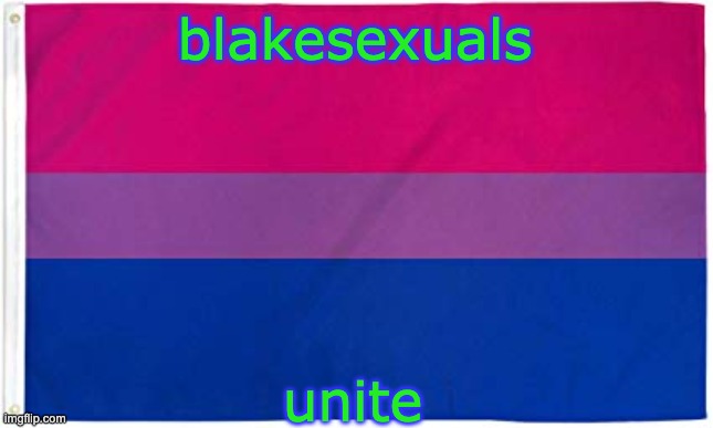 Bisexual Flag | blakesexuals unite | image tagged in bisexual flag | made w/ Imgflip meme maker