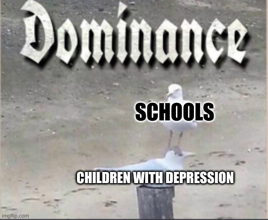DoMiNaNcE | SCHOOLS; CHILDREN WITH DEPRESSION | image tagged in dominance,seagull | made w/ Imgflip meme maker