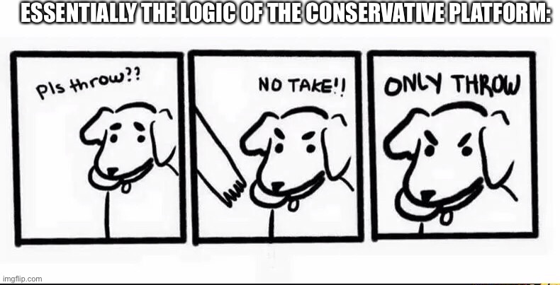 dog logic only throw | ESSENTIALLY THE LOGIC OF THE CONSERVATIVE PLATFORM: | image tagged in dog logic only throw | made w/ Imgflip meme maker