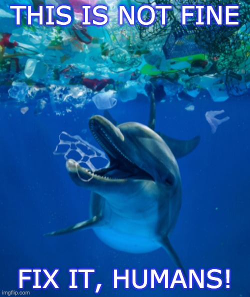 Dolphin war face | THIS IS NOT FINE; FIX IT, HUMANS! | image tagged in earth day,holidays,ocean,pollution | made w/ Imgflip meme maker