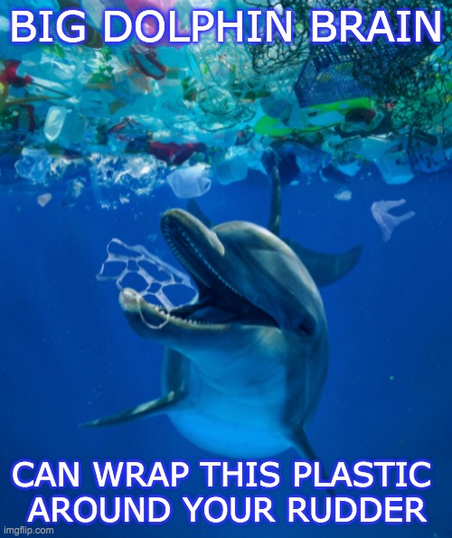 Next steps |  BIG DOLPHIN BRAIN; CAN WRAP THIS PLASTIC 
AROUND YOUR RUDDER | image tagged in earth day,ocean,dolphin,pollution | made w/ Imgflip meme maker