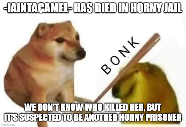 Doge bonk | -IAINTACAMEL- HAS DIED IN HORNY JAIL; WE DON'T KNOW WHO KILLED HER, BUT IT'S SUSPECTED TO BE ANOTHER HORNY PRISONER | image tagged in doge bonk | made w/ Imgflip meme maker