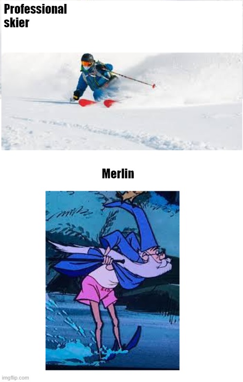 Professional Skier vs Merlin | Professional skier; Merlin | image tagged in funny,comparison | made w/ Imgflip meme maker
