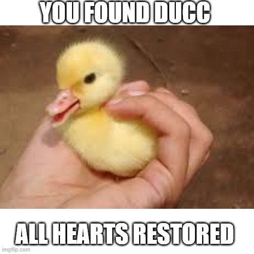 you feel the courage to venture into the lost woods | YOU FOUND DUCC; ALL HEARTS RESTORED | image tagged in ducc,the legend of zelda | made w/ Imgflip meme maker