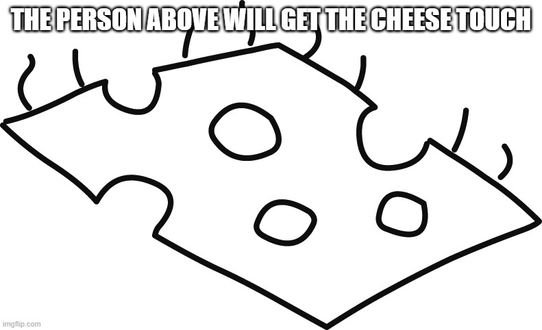 Diary of a Wimpy Kid Cheese | THE PERSON ABOVE WILL GET THE CHEESE TOUCH | image tagged in diary of a wimpy kid cheese | made w/ Imgflip meme maker