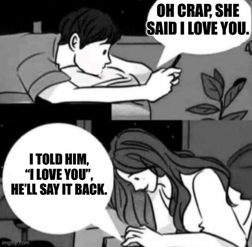 Boy and girl texting | OH CRAP, SHE SAID I LOVE YOU. I TOLD HIM, “I LOVE YOU”, HE’LL SAY IT BACK. | image tagged in boy and girl texting | made w/ Imgflip meme maker