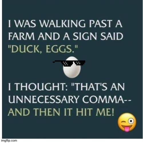 Oops... | image tagged in eggs,duck,eyeroll | made w/ Imgflip meme maker