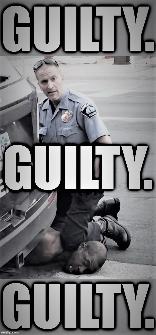 Guilty on all 3 counts. Derek Chauvin is what we said he was: A murderer. | image tagged in black lives matter,george floyd,police brutality,blm,murder,murderer | made w/ Imgflip meme maker