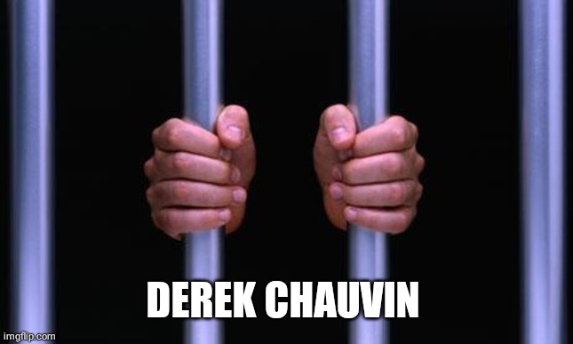 Prison Bars | DEREK CHAUVIN | image tagged in prison bars | made w/ Imgflip meme maker