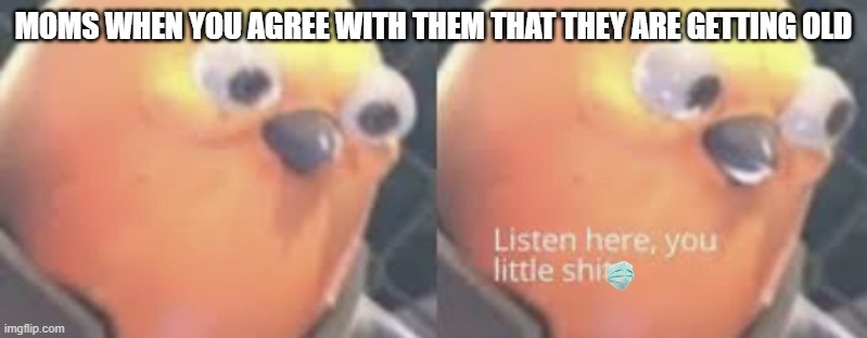 Listen here you little shit bird | MOMS WHEN YOU AGREE WITH THEM THAT THEY ARE GETTING OLD | image tagged in listen here you little shit bird | made w/ Imgflip meme maker