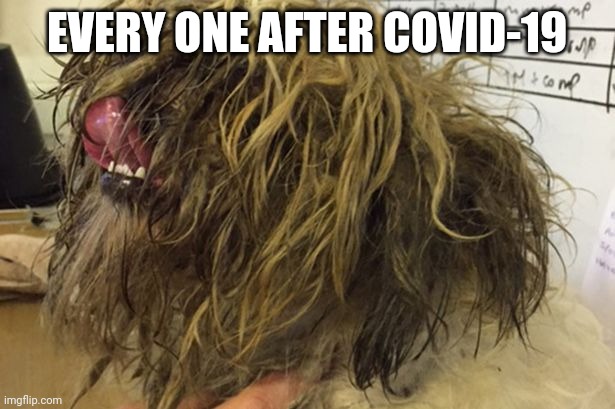 messy hair | EVERY ONE AFTER COVID-19 | image tagged in messy hair | made w/ Imgflip meme maker