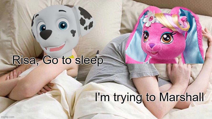 Go to bed Risa | Risa, Go to sleep; I'm trying to Marshall | image tagged in memes,i bet he's thinking about other women,paw patrol,honey girls | made w/ Imgflip meme maker